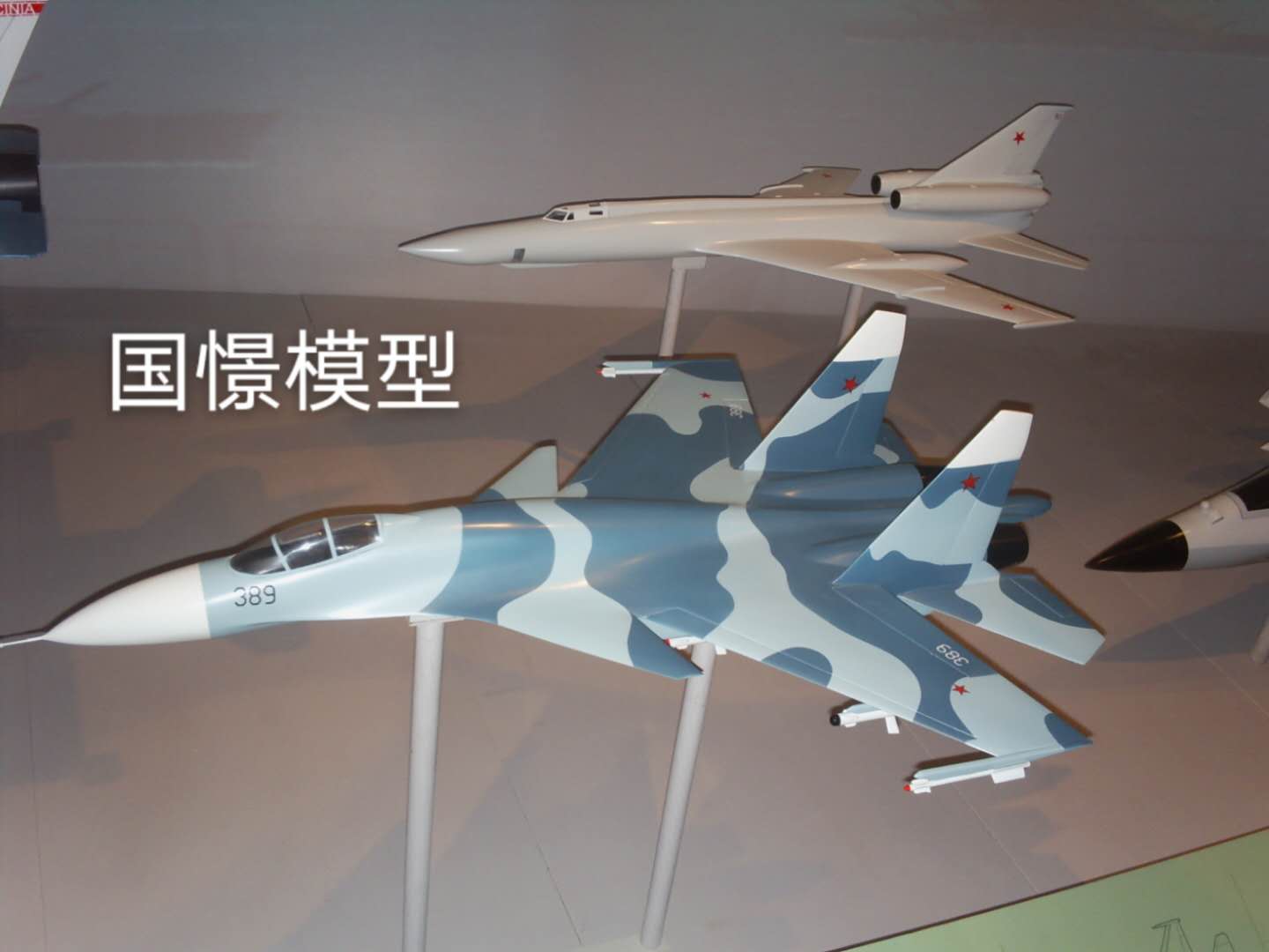 延津县军事模型