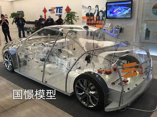 延津县透明车模型