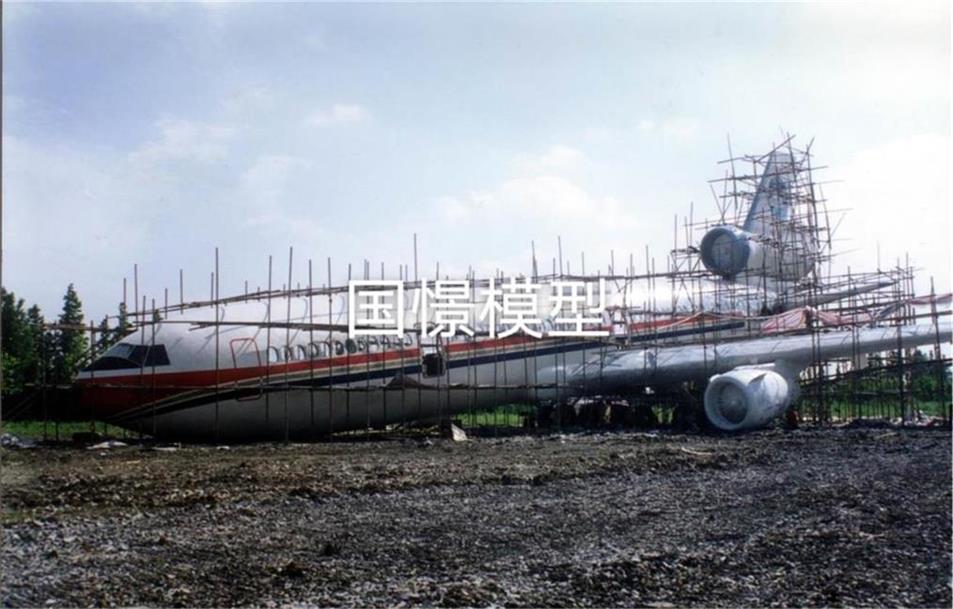 延津县飞机模型